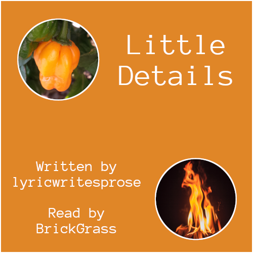 Podfic coverart. The cover is orange, with two circular cut-outs, one showing a scotch bonnet pepper and another showing fire. Text in white says 'Little Details' and further down 'Written by lyricwritesprose, Read by BrickGrass'